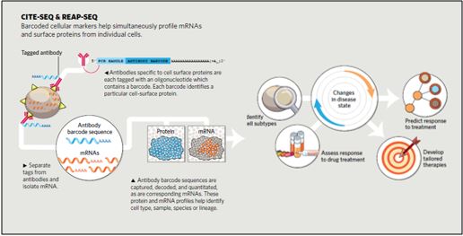 Benefits of protein detection by Sequencing