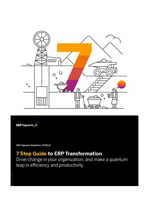 7 Step Guide to ERP Transformation