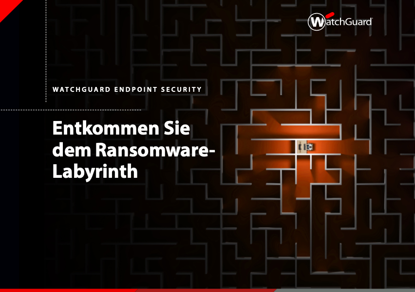 Entkommen Sie dem Ransomware- Labyrinth