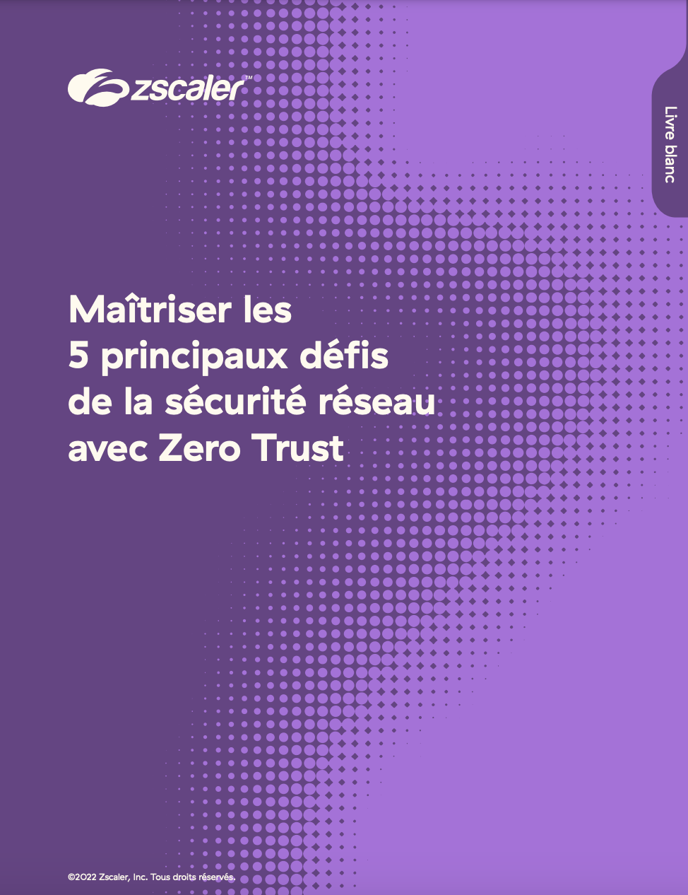Maîtriser les 5 principaux défis de la sécurité réseau avec le Zero Trust