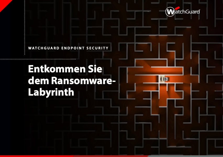 Entkommen Sie dem Ransomware- Labyrinth – Technology Media